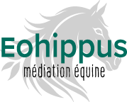 Eohippus Mediation Equine