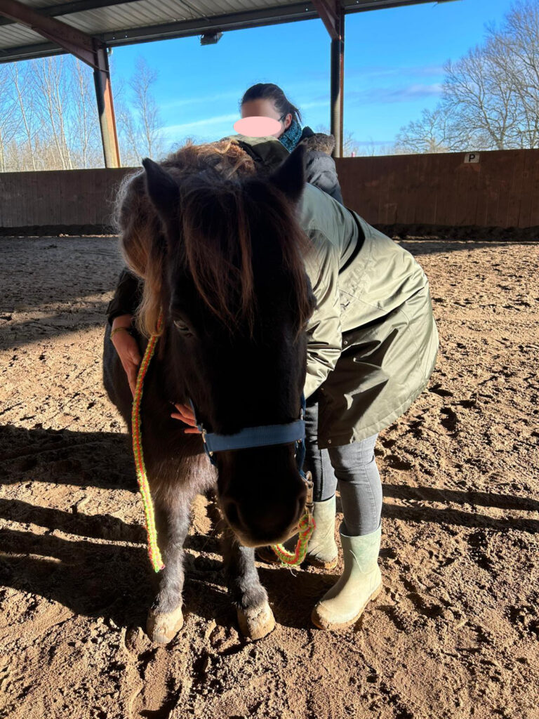 séance d'équithérapie ou médiation équine avec un poney d'un adolescent d'IME montrer par l'exemple