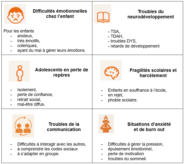 troubles des enfants et adolescents pour lesquels est adaptée la médiation animale (équine)/équithérapie difficultés émotionnelles troubles du développement TSA TDAH DYS perte de repère fragilités scolaires harcèlement troubles de la communication syndrome d'épuisement anxiété burn out chez l'ado phobie scolaire souffrance à l'école perte de confiance mal être isolement gestion des émotions habiletés sociales